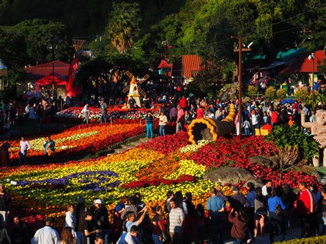 festival do boquete|boquete flower festival.